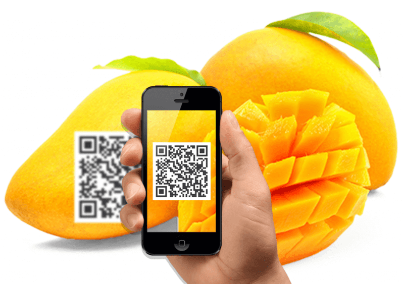 truy-xuat-nguon-goc-bang-qr-code