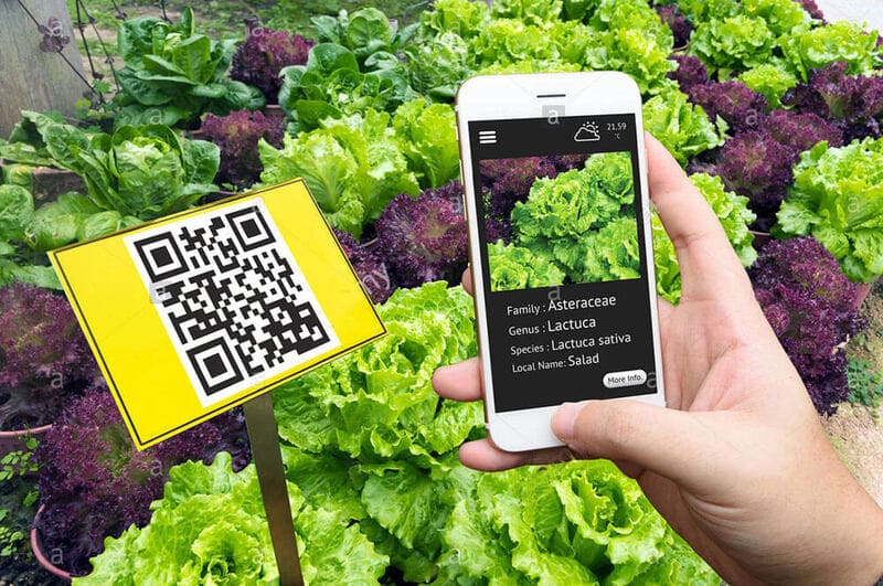 truy-xuat-nguon-goc-bang-qr-code